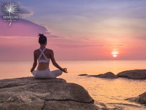 Lee más sobre el artículo Bienestar Espiritual: El Camino hacia una Vida Plena